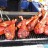 coconutgroveartfestival21410-004
