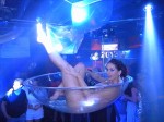 DSCN3526 DSCN3526