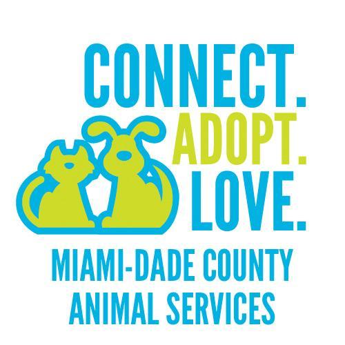 NBC’S Clear the Shelter 7/23/16 – The Soul Of Miami