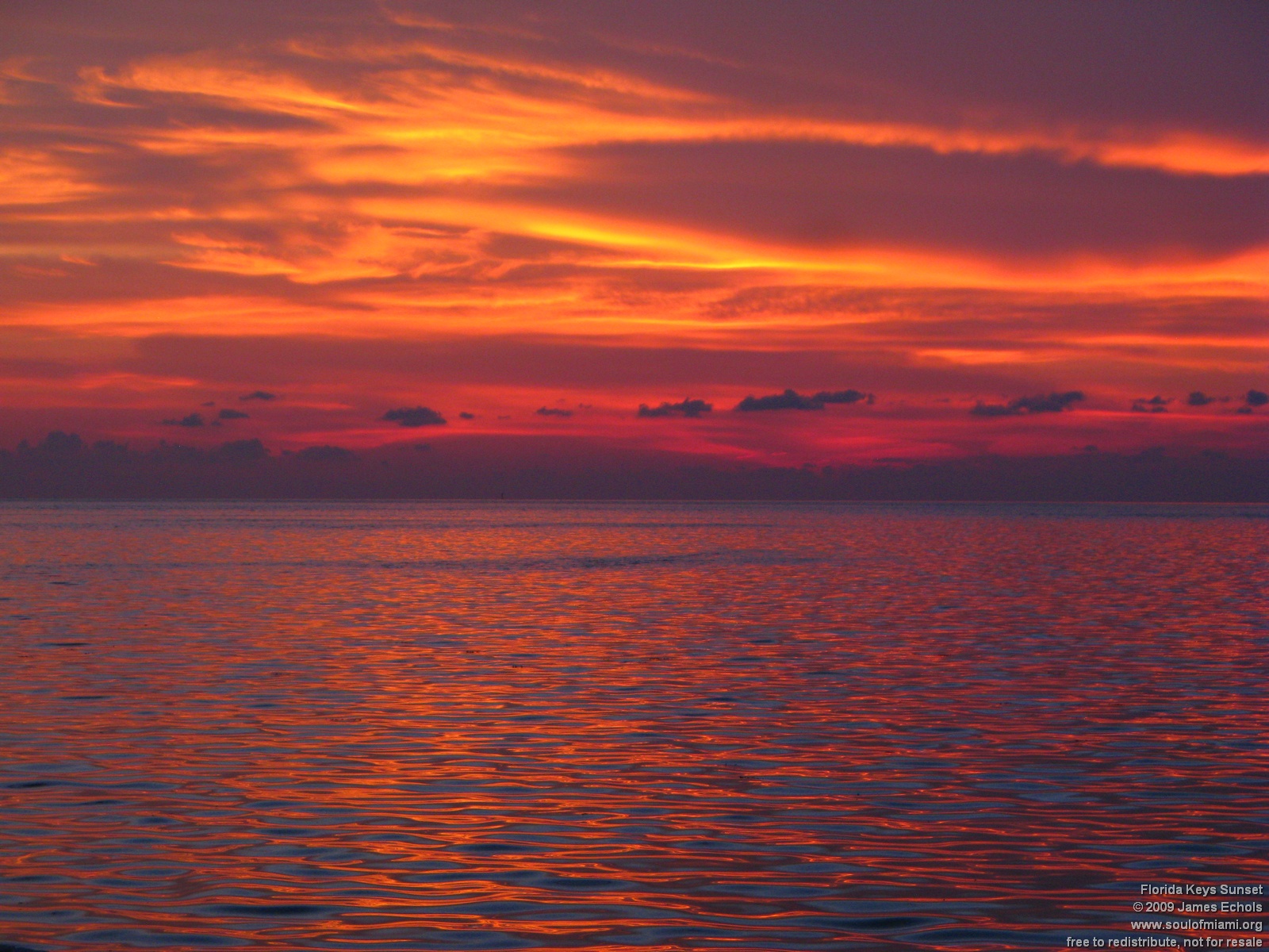 Free download Miami Skyline Wallpaper Miami Sunset Palm Trees Miami  Wallpaper [1920x1080] for your Desktop, Mobile & Tablet | Explore 40+ Miami  Florida Wallpaper | Miami Wallpapers, Florida Wallpaper, Wallpaper Miami