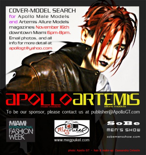 cover_model_search_2010