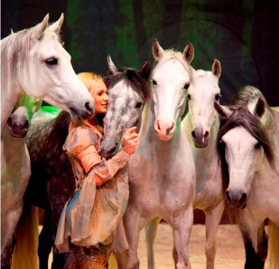 cavalia1 cavalia1