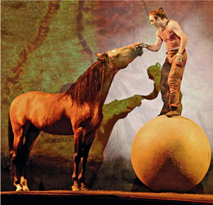 cavalia2 cavalia2