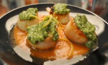 SCALLOPS