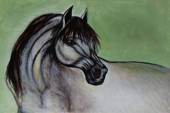 Alex-Cardoso-Horse