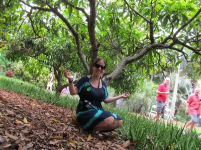 Mango-Festival-2013-072