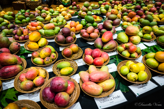Photos of the Mango Festival at Fairchild Tropical Botanic Garden