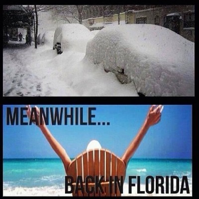 100-Percent-Miami-Meme