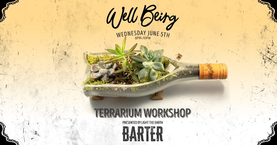 Terrarium Building 6/5/19 The Soul Of Miami