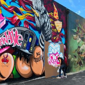 Urban Art: Aerosol and Graffiti for Beginners