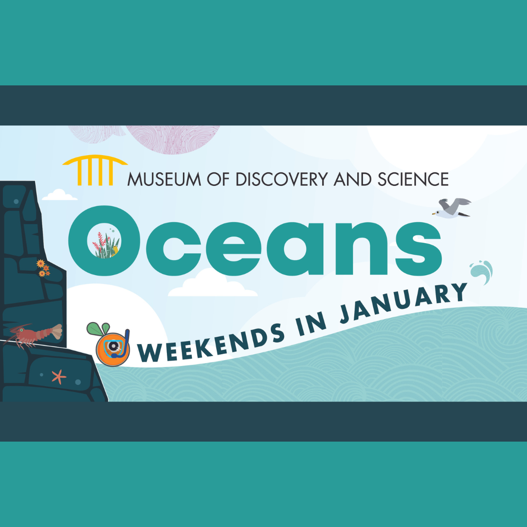 Ocean Weekends at Museum of Discovery and Science 1/6/24 – 1/28/24 ...