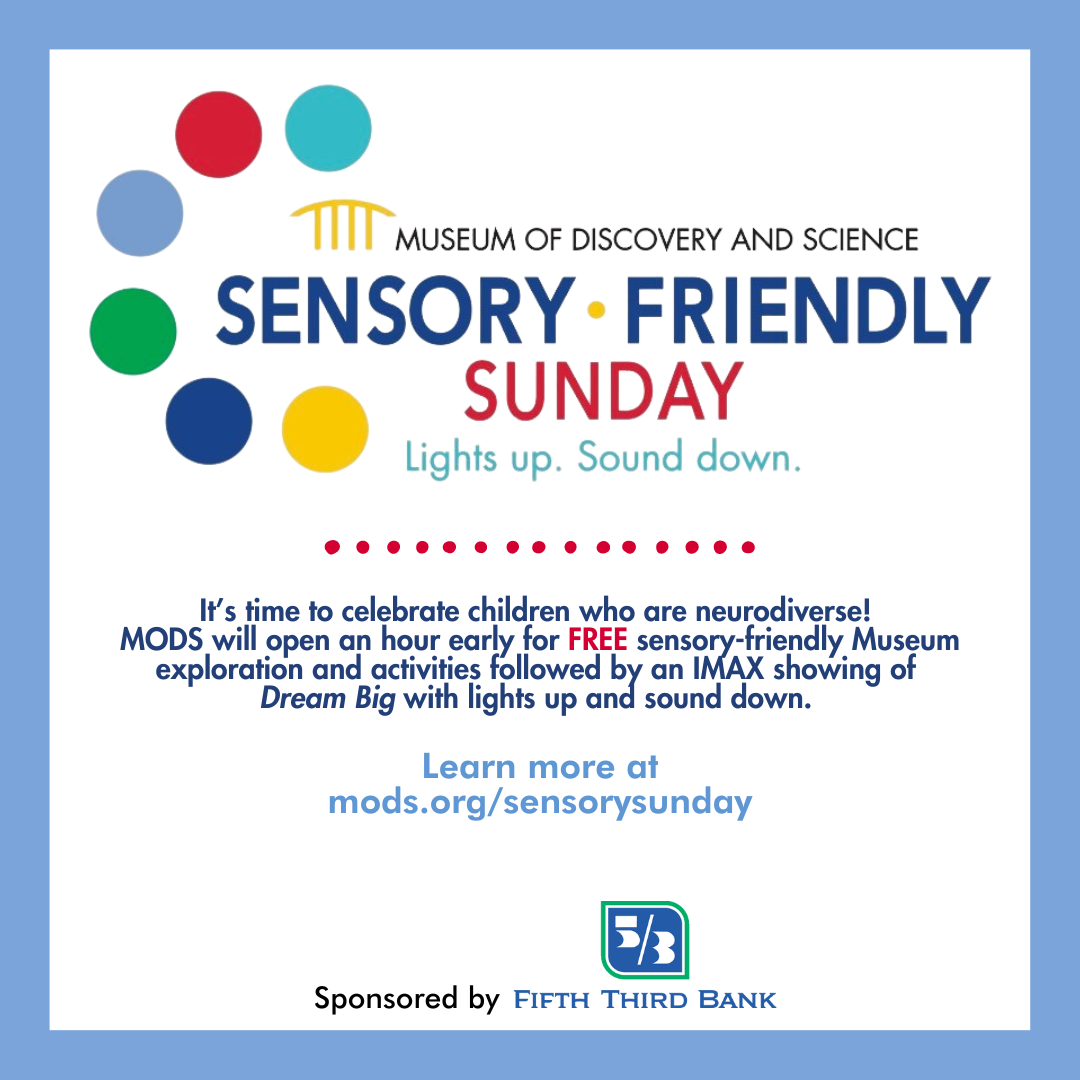 Sensory-Friendly Sundays at Museum of Discovery and Science 2/25/24 – The  Soul Of Miami