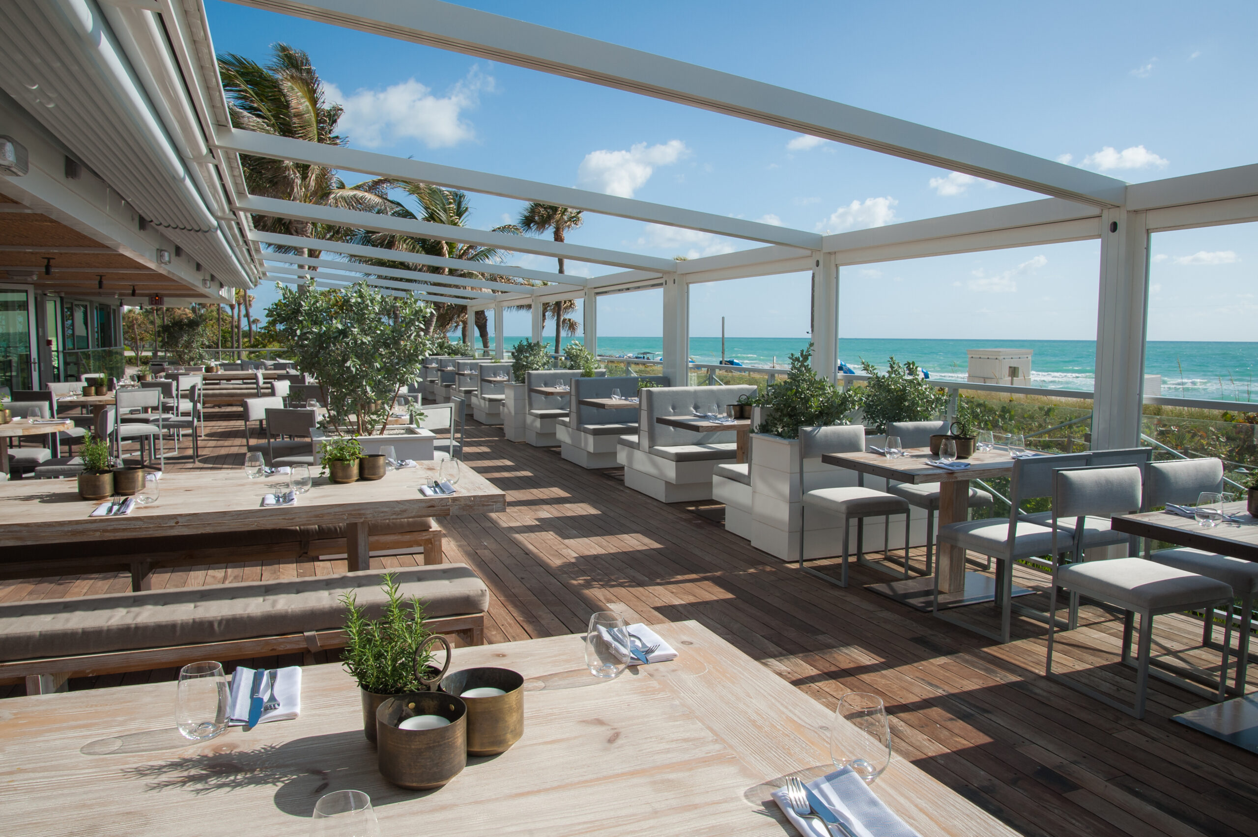 Eden Roc Menu Puppy Brunch at Ocean Social Returns 6/2/24 – The Soul Of Miami