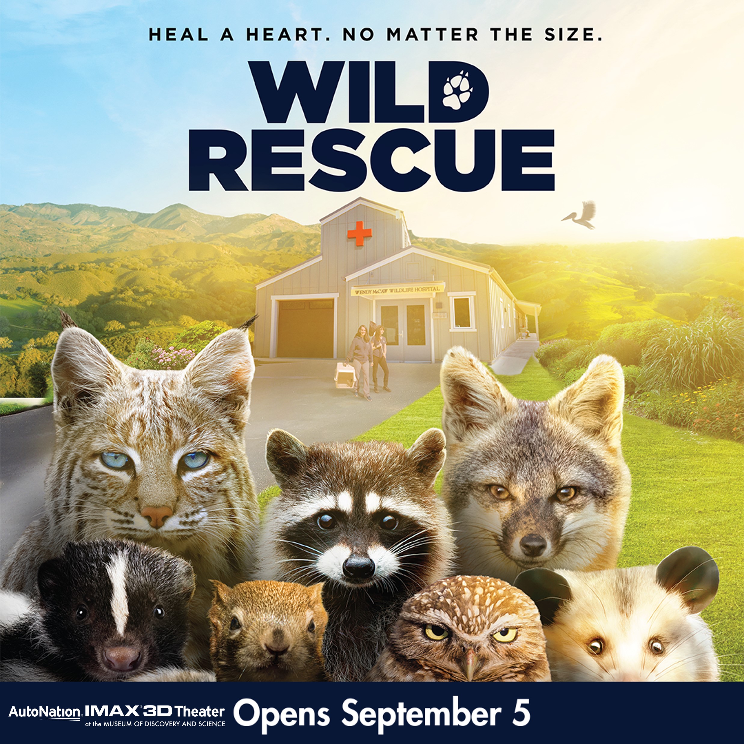 Wild Rescue at the AutoNation® IMAX® 3D Theater at the Museum of ...